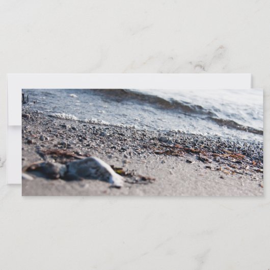 Beach close up (Back)