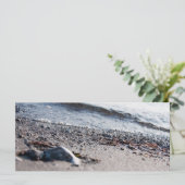 Beach close up (Standing Front)