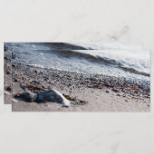 Beach close up (Front/Back)