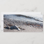 Beach close up (Front)