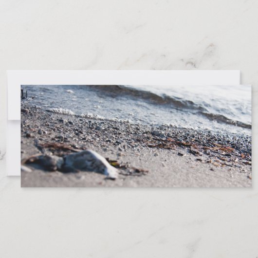 Beach close up (Front)