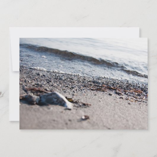 Beach close up (Front)