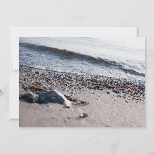 Beach close up (Back)