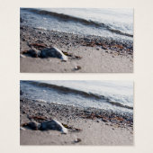 Beach close up (Front & Back)