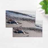 Beach close up (Desk)