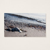 Beach close up (Back)