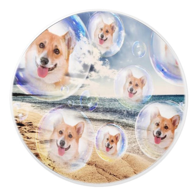 Beach Corgis Ceramic Knob (Front)