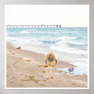Beach Day Poster