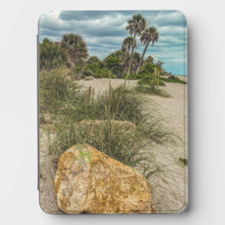 Beach Days, Overcast, Beach Garden Rock Kindle Cover