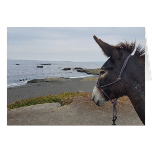 Beach Donkey Contemplates Pacific Ocean Cards (Front Horizontal)