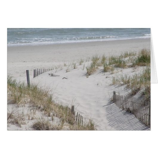 Beach Dunes Cards (Front Horizontal)