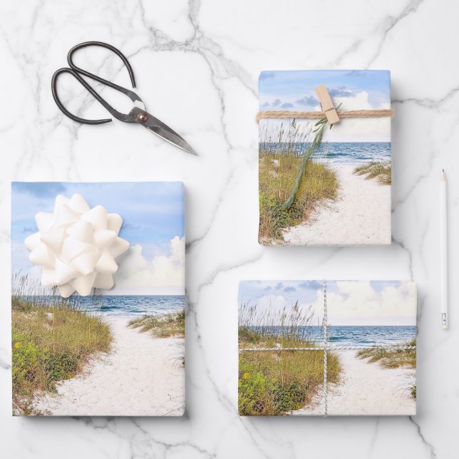 Beach Entrance Path in Florida Photo Wrapping Paper Sheets (Front)