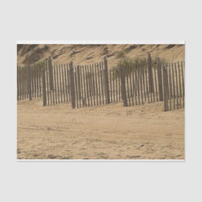 beach fence outer banks tissue paper (Front)