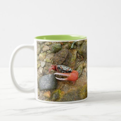 Beach Fiddler crab Two_Tone Coffee Mug