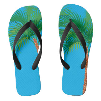Beach Flip Flopw Flops