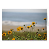 Beach Flowers on Galveston Island (Front Horizontal)