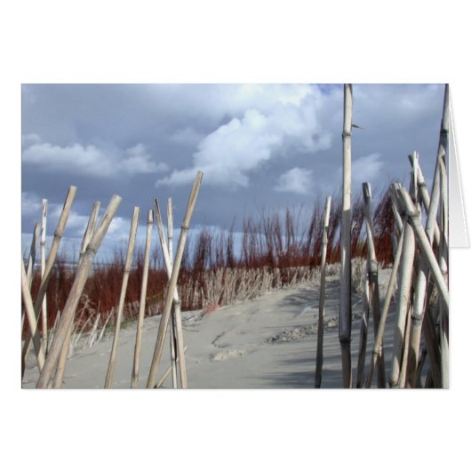 Beach Fun Cards (Front Horizontal)