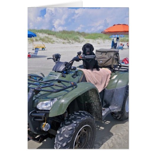 Beach Fun Cards (Front)