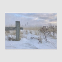 Beach Gift Wrap Tissue Paper