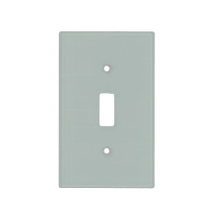 Beach Glass Color Light Switch Cover