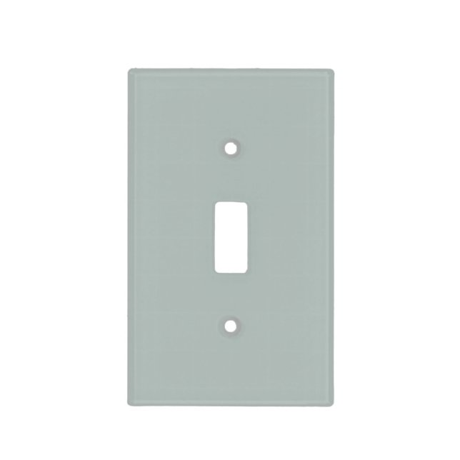 Beach Glass Color Light Switch Cover (Front)