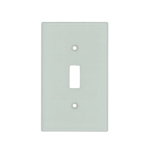 Beach Glass Pastel Green Pairs Breezeway MQ3-21 Light Switch Cover