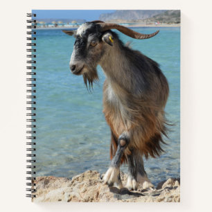 Beach Goat Notebook