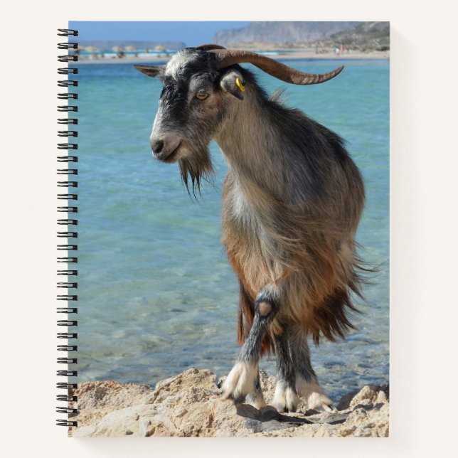 Beach Goat Notebook (Front)