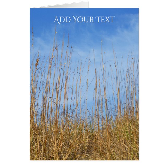 Beach Grass by Shirley Taylor (Front)