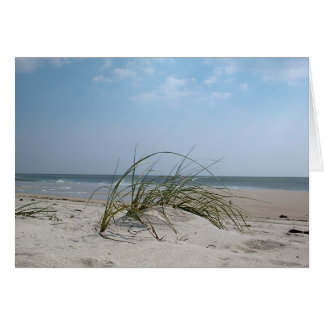 Beach Grass Cards