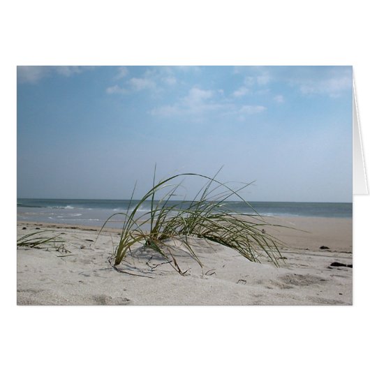 Beach Grass Cards (Front Horizontal)