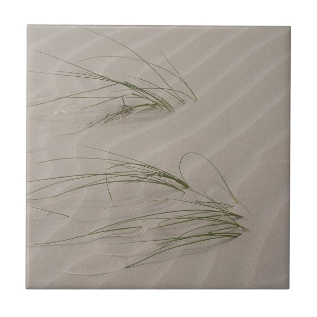 Beach Grass Ceramic Tile (Front)