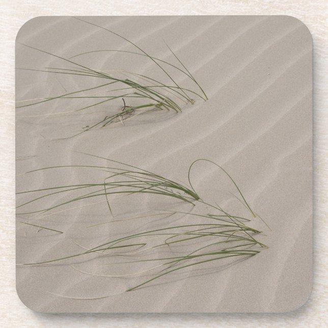 Beach Grass Drink Coaster (Front)