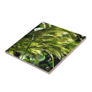 Beach Grass in the Breeze Ceramic Tile