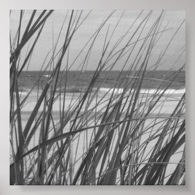 BEACH GRASS POSTER (Front)