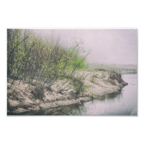 Beach Grass Sand Dunes Spring Trees Lake Michigan Photo Print