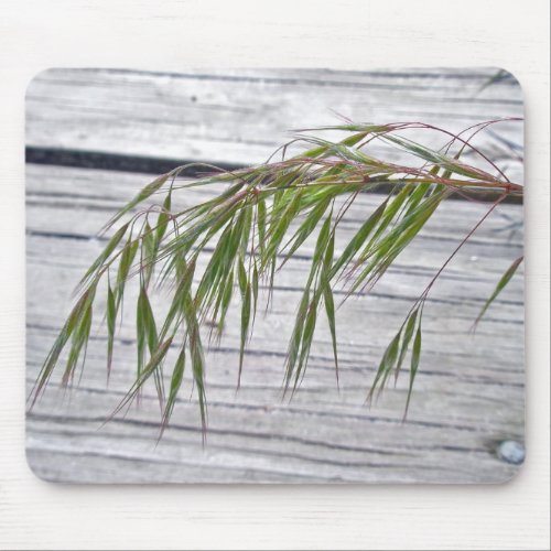 Beach Grass Seeds at IBSP Mousepad