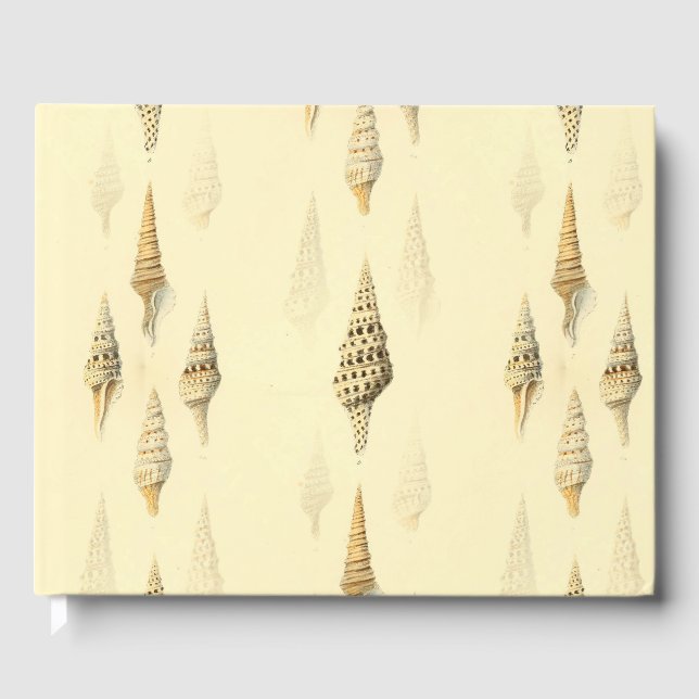beach guest book (Front)