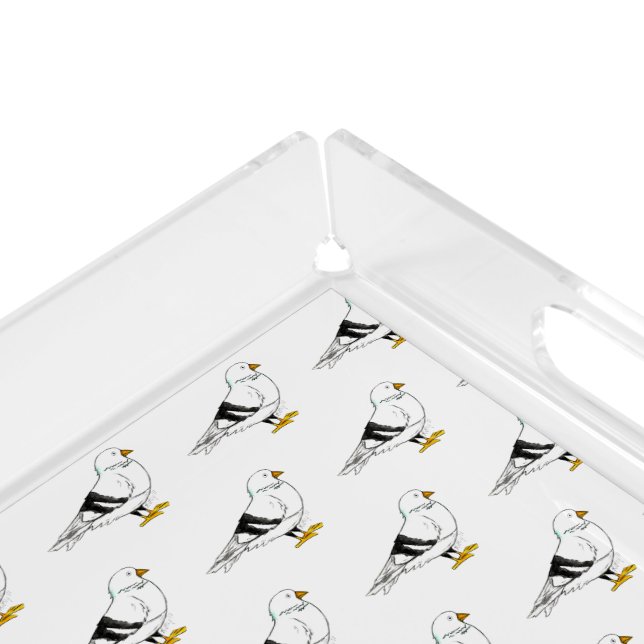 Beach Gull Seagull New York City Pigeon Bird Acrylic Tray (Corner)