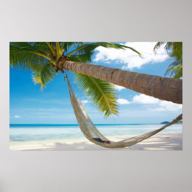 Beach hammack palmtree poster (Front)