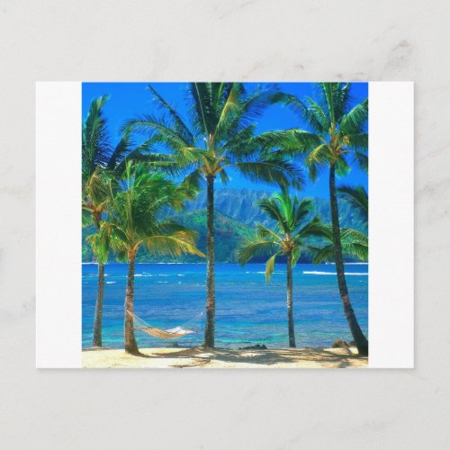 Beach Hammock Kauai Hawaii Postcard