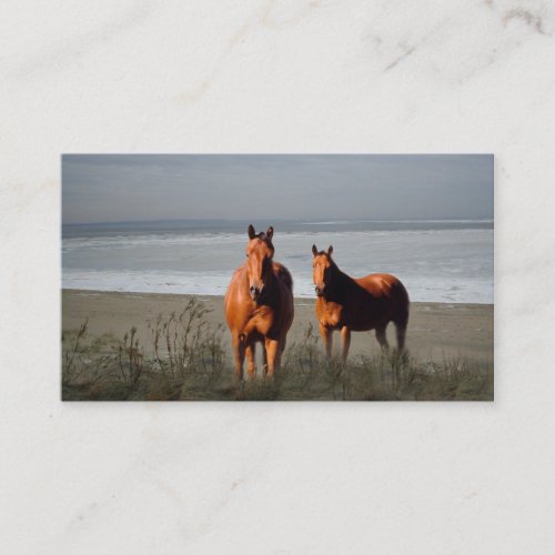 Beach Horses Business Card