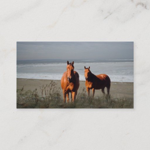 Customizable Beach Horses Business Card
