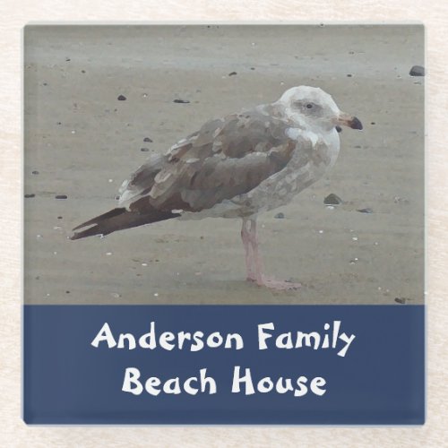 Beach House Family Name Artistic Sea Bird Seagull Glass Coaster