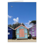 Beach Hut Seaguls (Front)