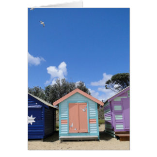 Beach Hut Seaguls Cards