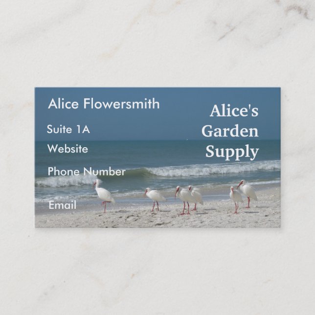 Beach Ibis- Business Card (Front)