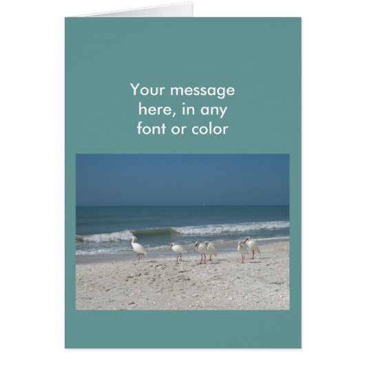 Beach Ibis Cards (Front)