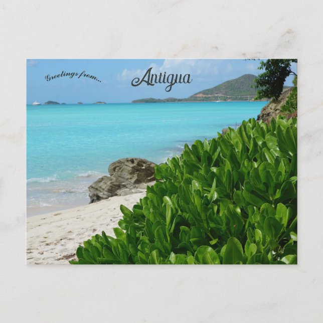 Beach in Antigua Postcard (Front)