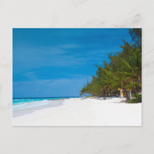 Beach in Barbados Postcard